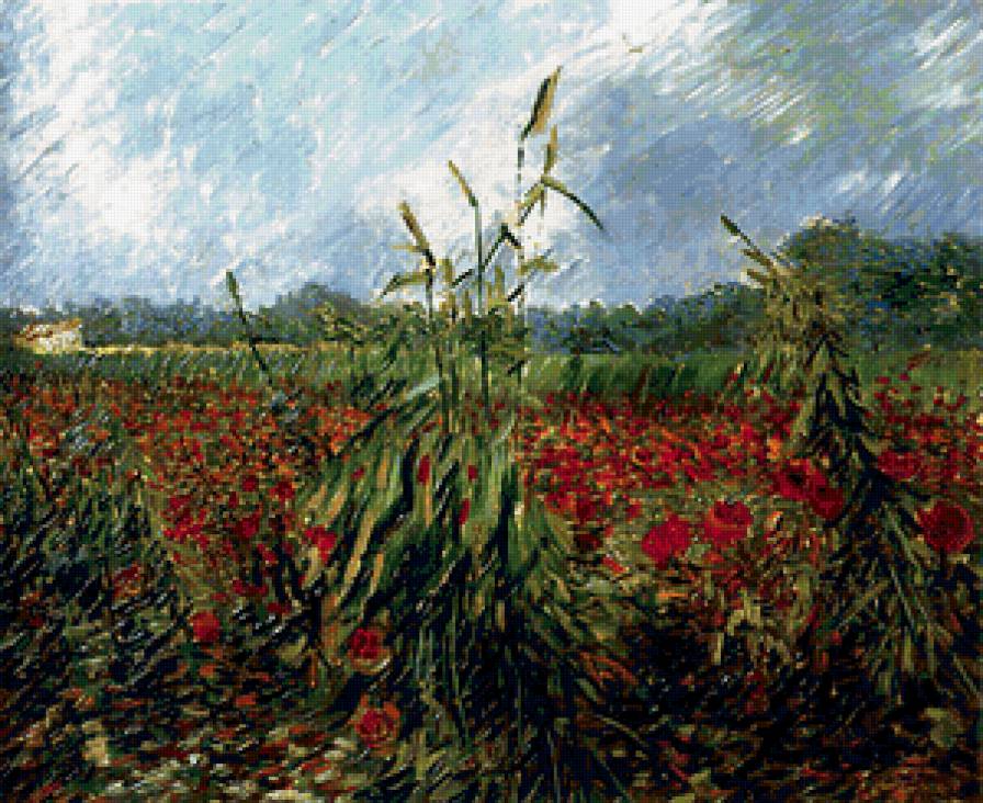 Ван Гог.Маковые поля. - цветы, маки., пейзаж, растения, природа - предпросмотр