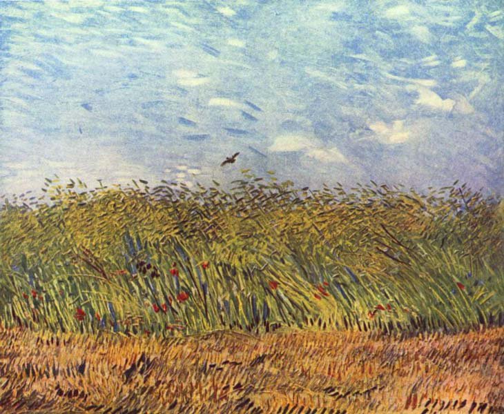 Ван Гог.Пшеничное поле с жаворонком. - небо., природа, растения, пейзаж - оригинал