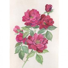 Оригинал схемы вышивки «Акварельные цветы» (№159024)