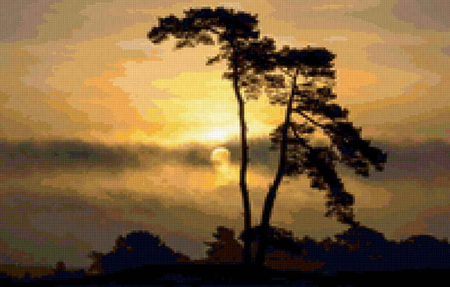 закат - закат, небо, дерево - предпросмотр