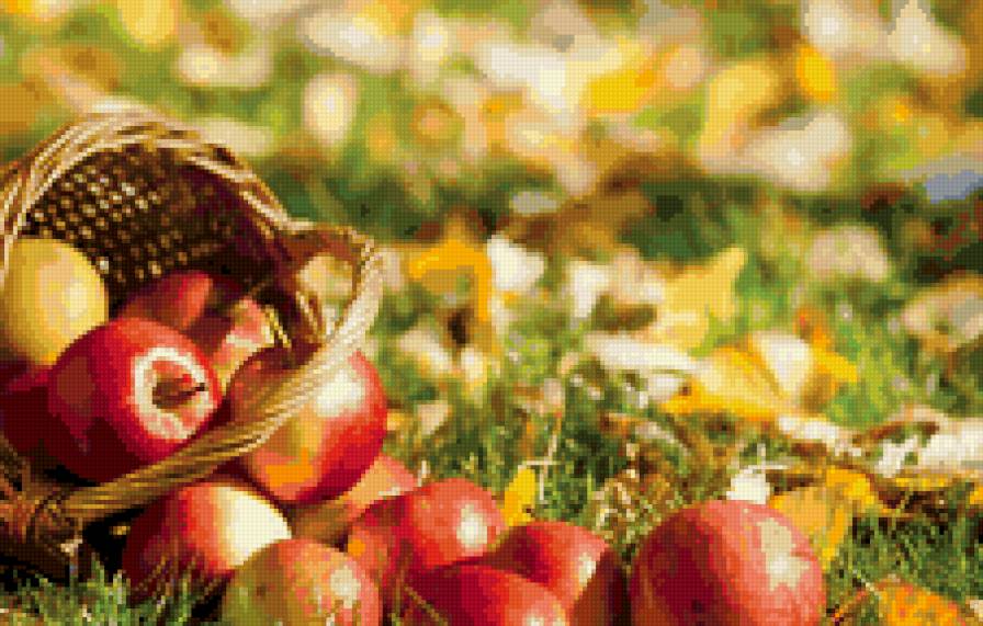 яблоки - осень, яблоки - предпросмотр