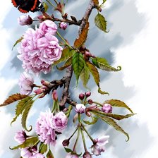 Оригинал схемы вышивки «бабочка на цветах» (№160387)