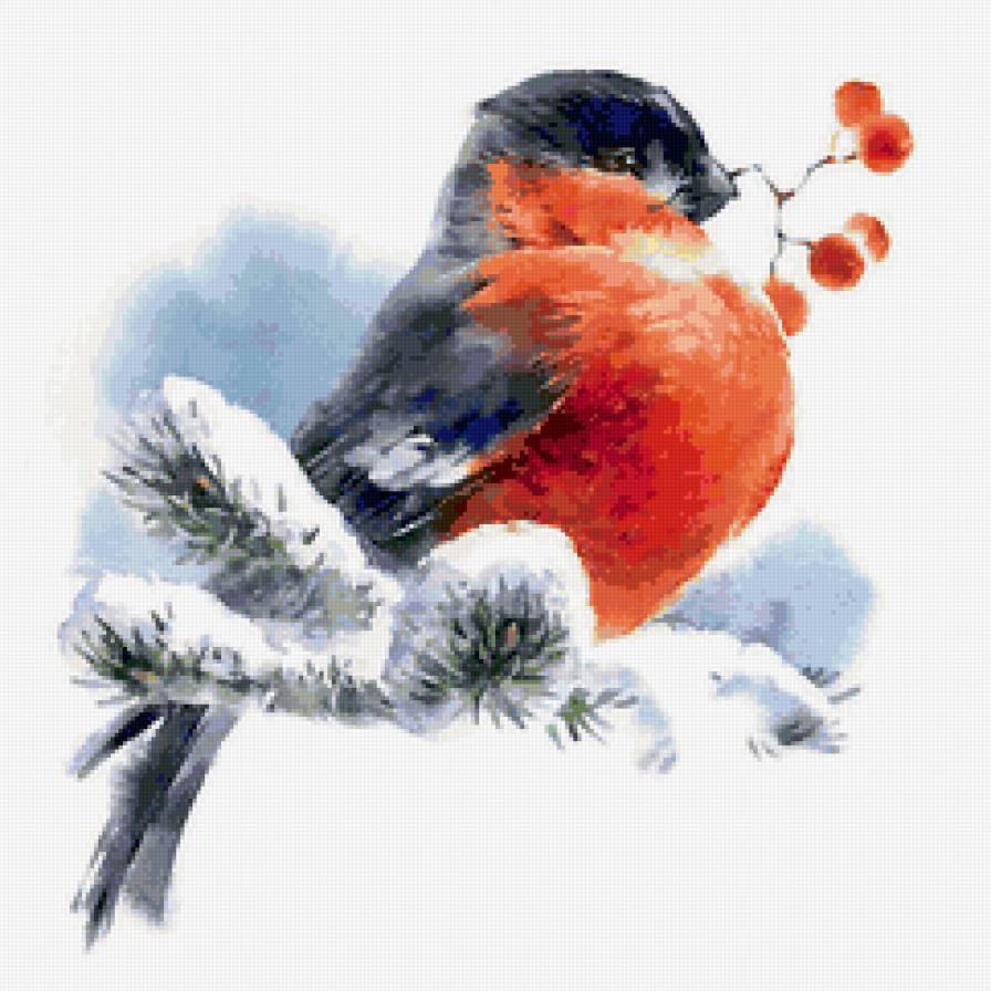 снегирь - птицы, открытка, зима, снегирь - предпросмотр