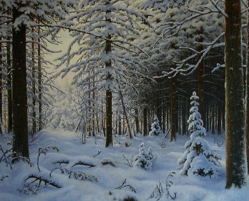 зимний лес - пейзаж, зима, природа, снег, лес - оригинал