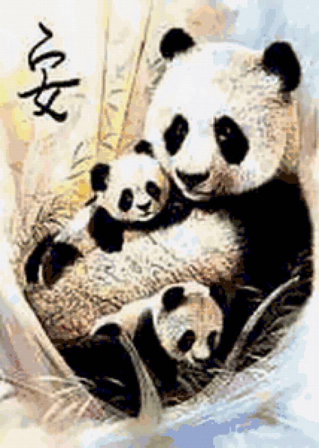 Семейство панды - медведи, панды, животные - предпросмотр