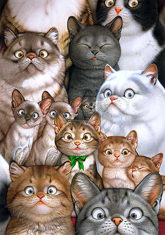 Кошачья семейка - коты, кошки, семья... - оригинал