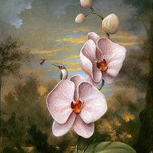 Оригинал схемы вышивки «орхидеи» (№162682)
