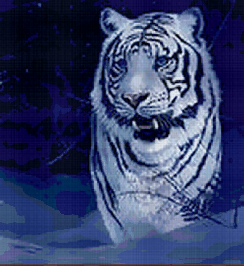 №162685 - тигр, хищник - предпросмотр