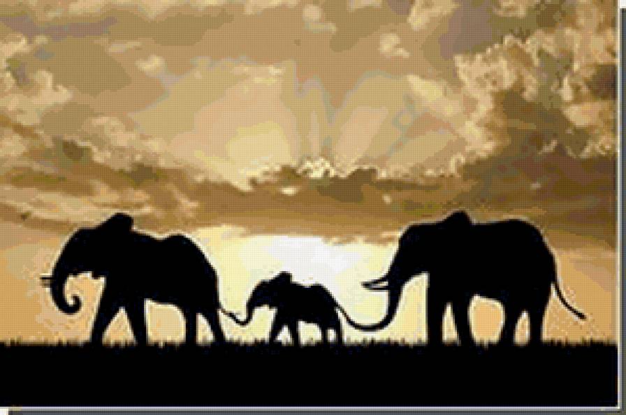 №162691 - природа, африка, слоны - предпросмотр