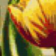 Предпросмотр схемы вышивки «тюльпаны» (№162752)