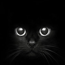 Оригинал схемы вышивки «Черная кошка» (№162777)