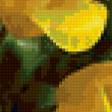 Предпросмотр схемы вышивки «желтые цветы» (№163075)