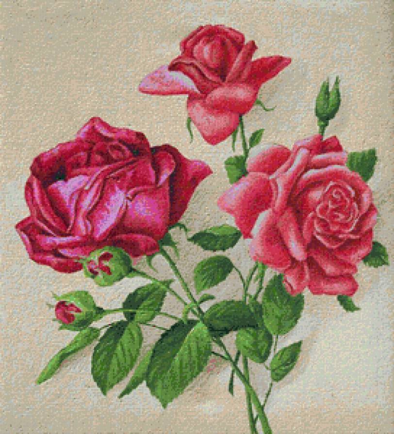 №163106 - букет, розы, цветы, ваза - предпросмотр