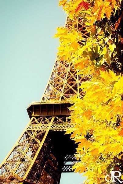 Осень в Париже - осень, эйфелева башня, пейзаж - оригинал