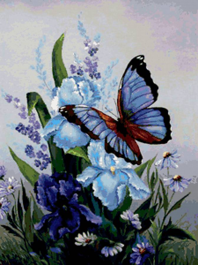бабочка на цветах - бабочки, ирисы - предпросмотр