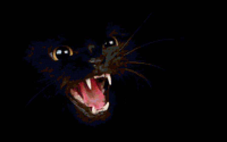 Кошка Шипелка - юмор, картинка, животные, кошка, черная, кот - предпросмотр
