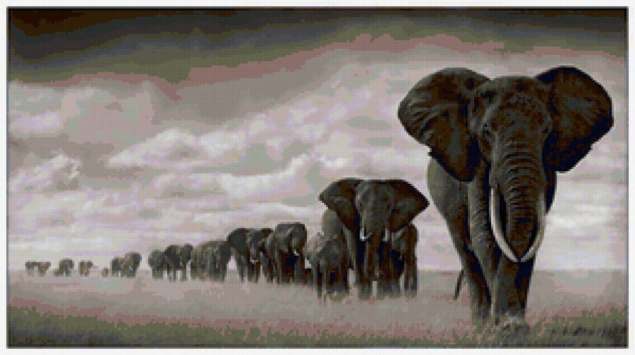 "Африка" - слоны, африка - предпросмотр