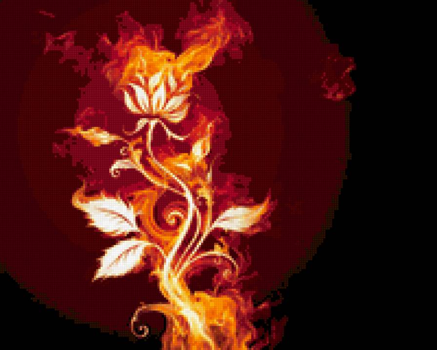 огненный цветок - цветок, огонь - предпросмотр
