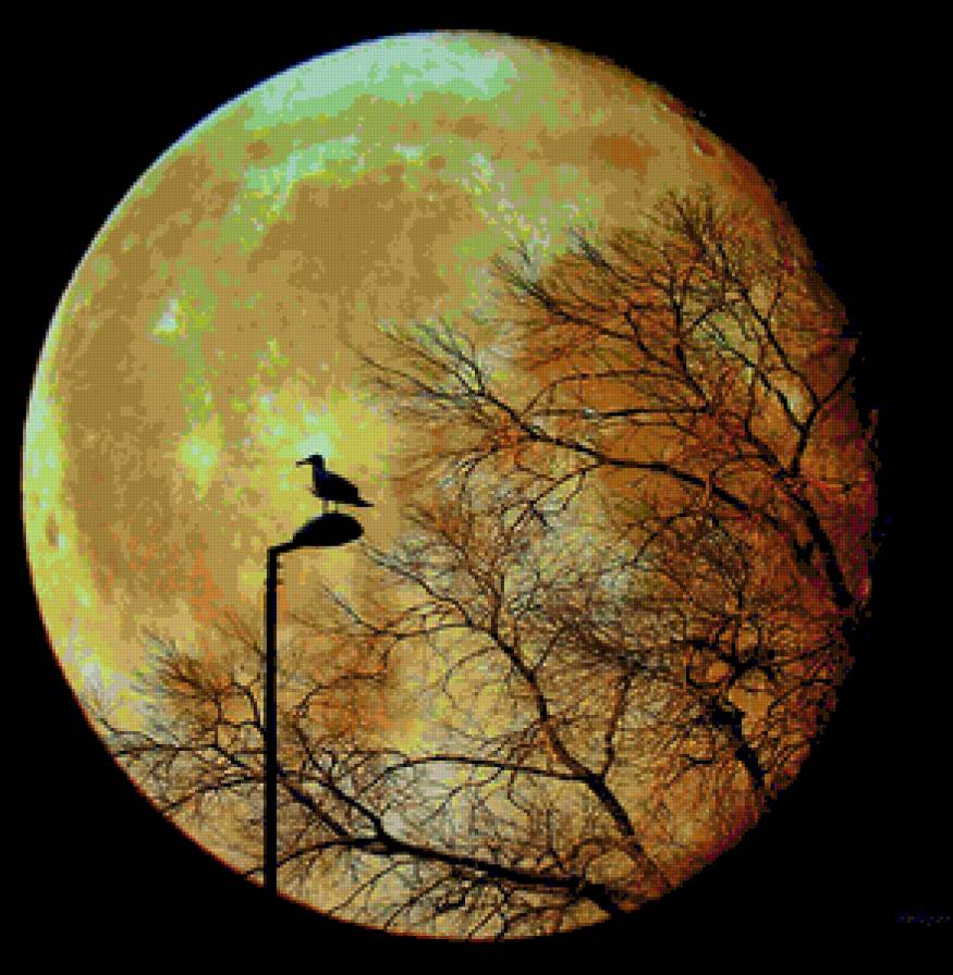 луна - луна, дерево, птица - предпросмотр