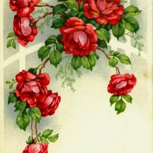 Оригинал схемы вышивки «розы» (№164961)
