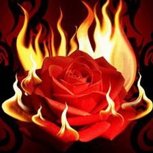 Схема вышивки «огненная роза»