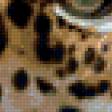 Предпросмотр схемы вышивки «леопард» (№165508)