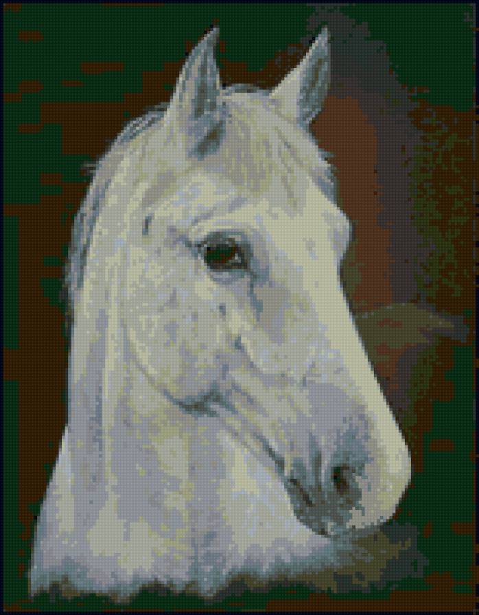 белая лошадь - животные, лошадь - предпросмотр