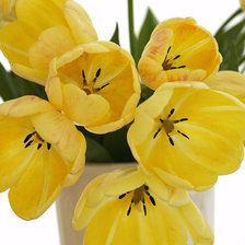 Оригинал схемы вышивки «Желтые тюльпаны» (№165880)
