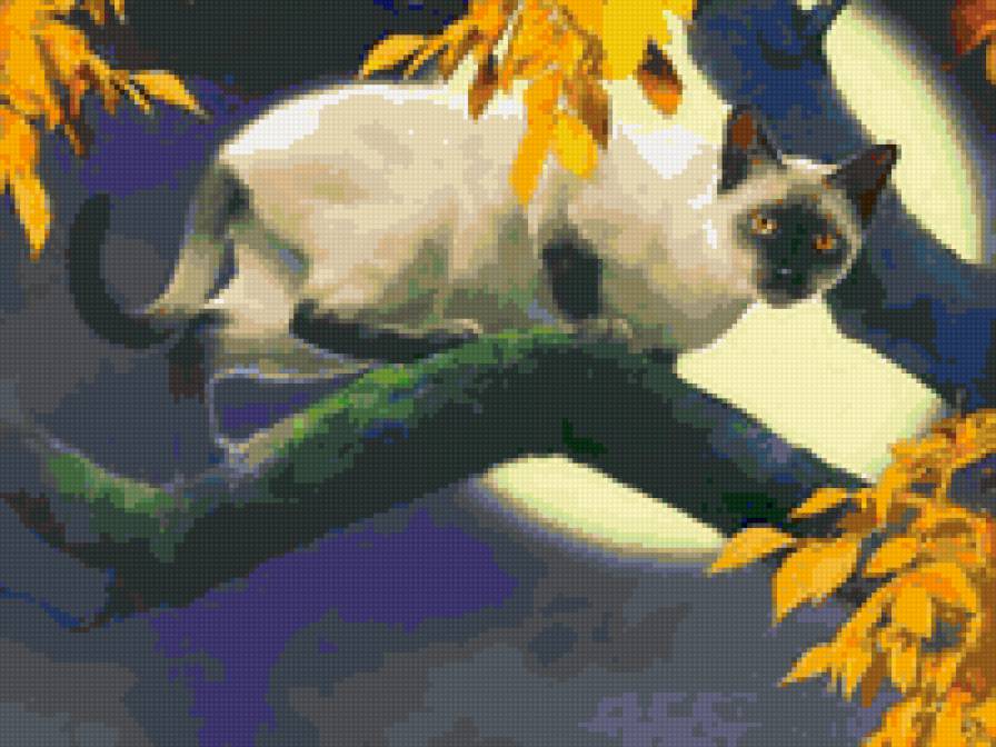 кошка на дереве - дерево, кошка, пейзаж, животное - предпросмотр