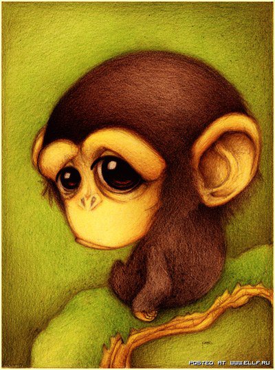 Зверик 10 - обезьянка, мультик, детям - оригинал