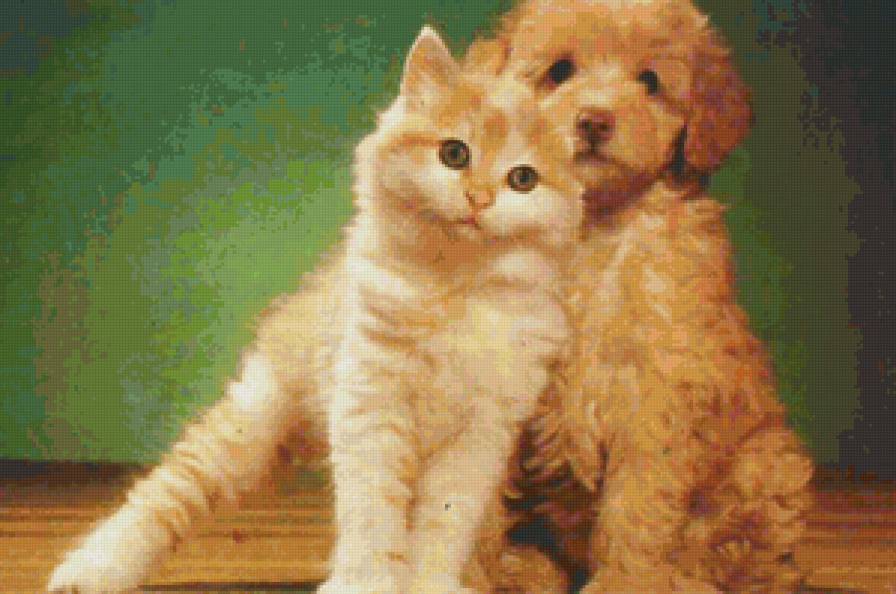 Друзья - собака, щенок, котенок, кот - предпросмотр