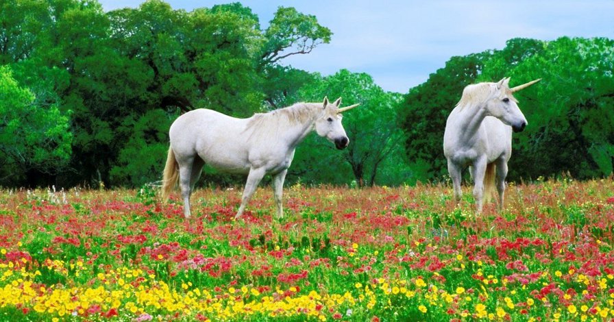 №166655 - лошади, фэнтази, единорог, белый, поляна, пара - оригинал