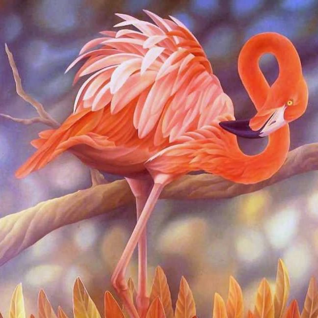 Фламинго - природа.подушка, птицы, фламинго - оригинал