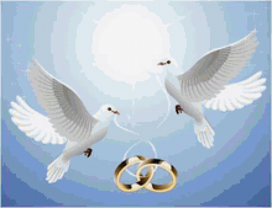Свадебные голуби - голуби, нежность, любовь, картина, птици, природа - предпросмотр