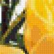 Предпросмотр схемы вышивки «Букет жёлтых роз» (№166939)