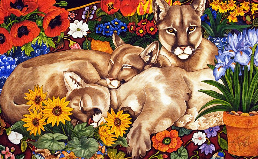 Пумы в цветах - пумы, животные, львы, цветы, кошечки, дикие кошки, львицы - оригинал