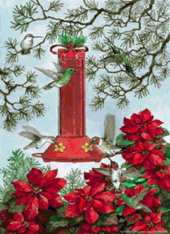 Рождественская - пуансетия, цветы, птица, птицы, рождество, птичка - предпросмотр