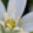 Предпросмотр схемы вышивки «Цветы» (№168074)