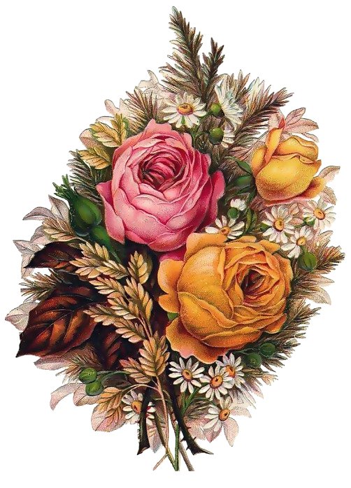 Винтажные розы - розы, винтаж, цветы - оригинал
