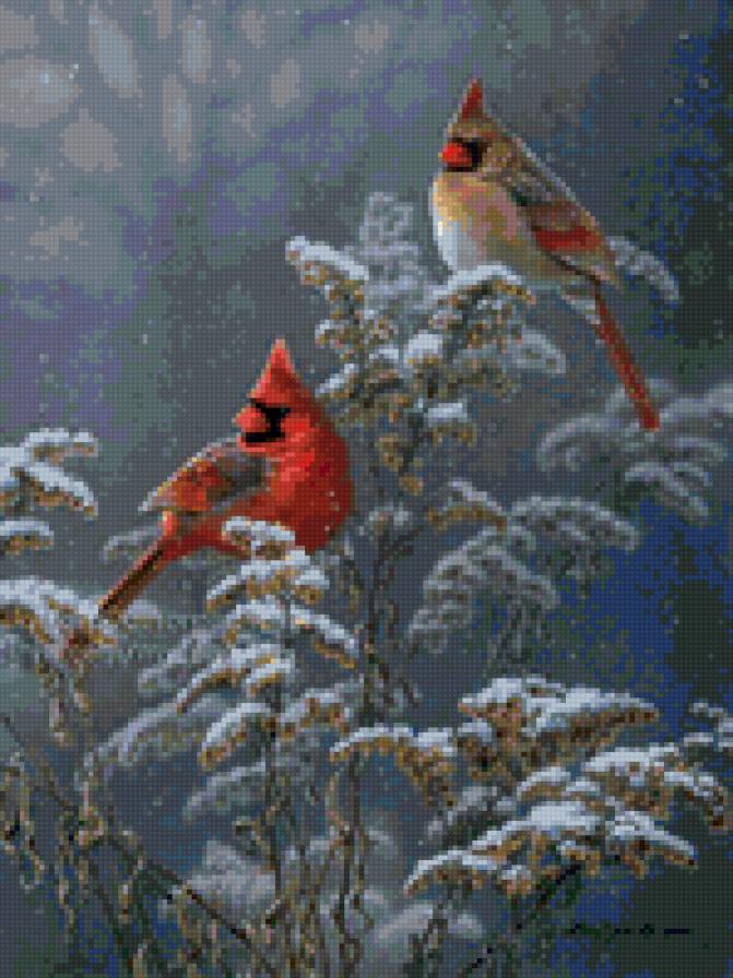 Зимние птицы - предпросмотр