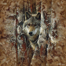 Оригинал схемы вышивки «Волк в лесу» (№168256)