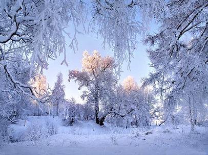 зима - зима, пейзаж, лес - оригинал