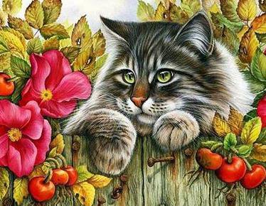 кот в цветах - листья, цветы, кот, осень, животные, забор - оригинал