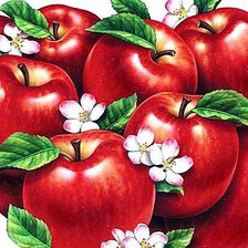 Оригинал схемы вышивки «Яблочки» (№168810)