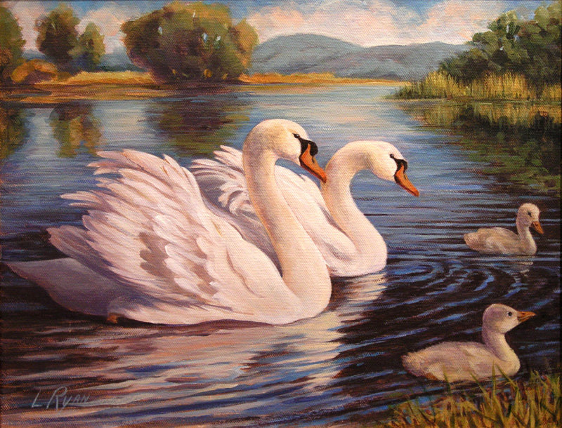 Семейство лебедей - птицы. лебеди, озеро, лето, пейзаж - оригинал