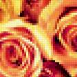 Предпросмотр схемы вышивки «И только розы» (№169031)
