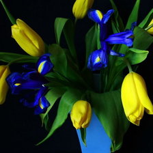 букет желтых тюльпанов и синих ирисов