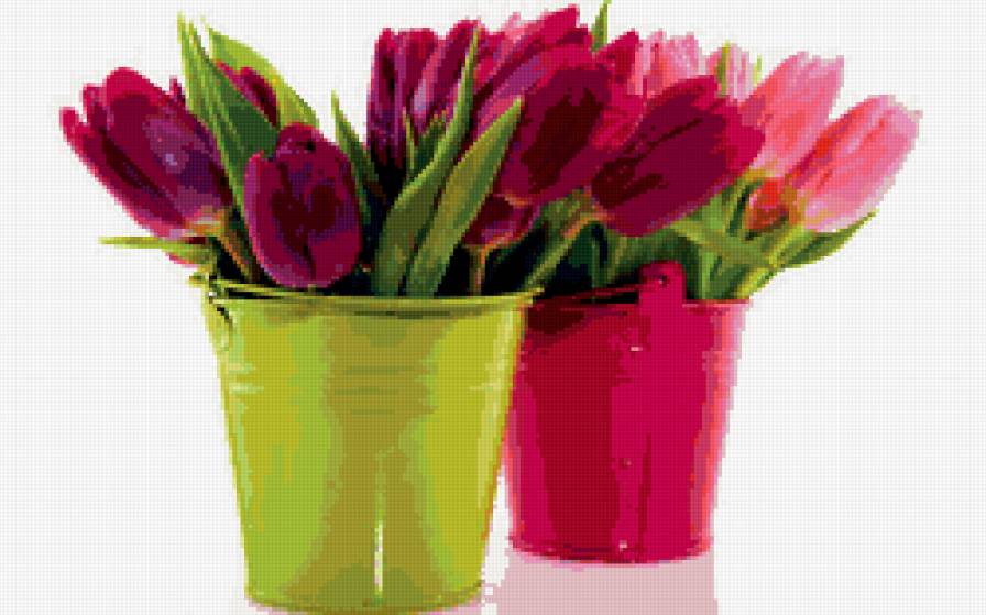 тюльпаны - цветы, тюльпаны, ведерки, букеты - предпросмотр