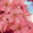 Предпросмотр схемы вышивки «Cherry Blossom» (№170156)