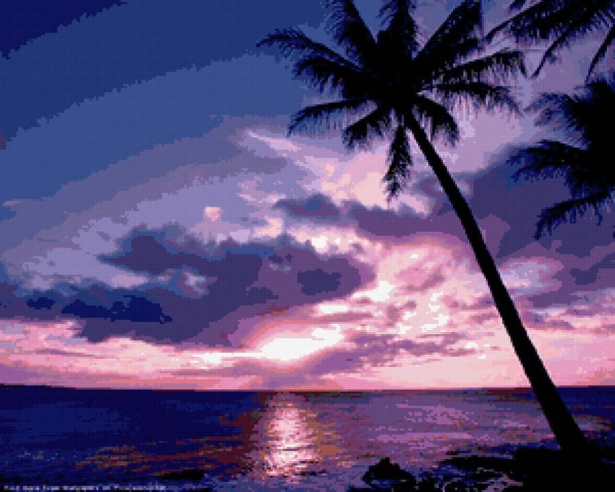 фиолетовый вечер - пальма, небо, море, заход, облака, ночь, вечер, солнце - предпросмотр